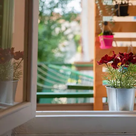 Borghetto House - * ピサ